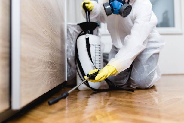 Best Wildlife Control Services  in Troy, IL
