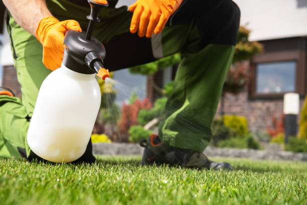 Best Pest Removal Services  in Troy, IL