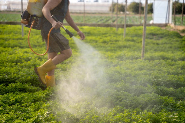 Best Local Pest Control Services  in Troy, IL
