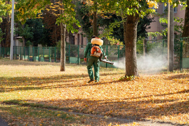 Best Mosquito Control Services  in Troy, IL