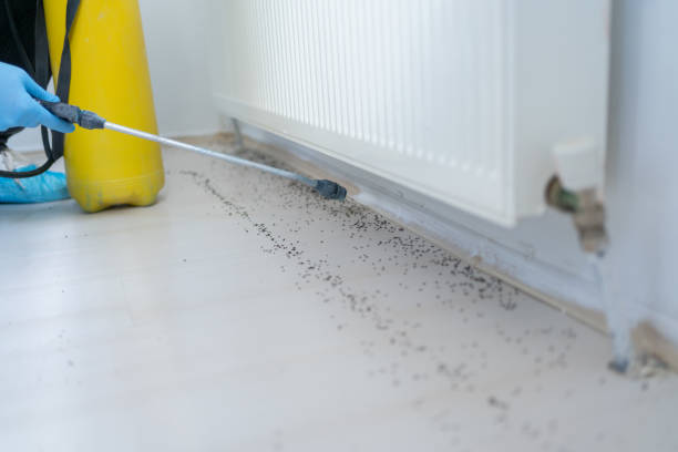 Best Pest Prevention Services  in Troy, IL